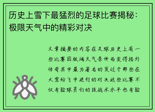 历史上雪下最猛烈的足球比赛揭秘：极限天气中的精彩对决