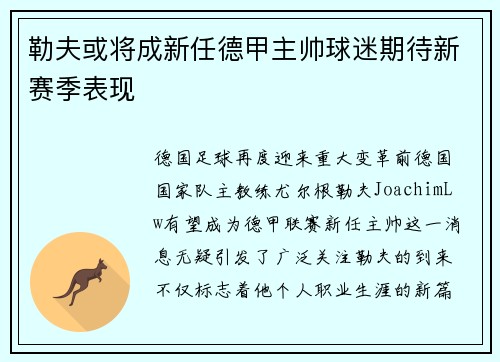 勒夫或将成新任德甲主帅球迷期待新赛季表现